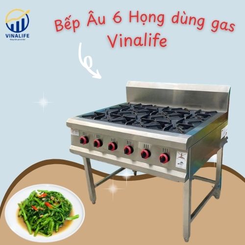 Bếp Âu 6 Họng Gas